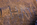 Close-up of the "I Hate War" quote from FDR during his presidency carved into a red South Dakota granite boulder, Franklin Delano Roosevelt Memorial, National Mall, Washington DC