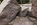 Granite boulders with carved excerpts scattered around the Third Room of the Franklin D. Roosevelt Memorial, National Mall, Washington DC