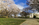 Springtime image from Arlington National Cemetery, featuring the marble edifice of the outdoor amphitheater and blossoming trees, Memorial Amphitheater, military cemetery, Virginia