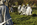 Stainless steel statuary depicting a squad on patrol during the Korean conflict, Triangular Field of Service, Korean War Veterans Memorial, Washington DC