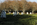 Autumn view of the larger than life size stainless steel statues in the Triangular Field of Service depicting a squad on patrol during the Korean conflict, Korean War Veterans Memorial, Washington DC