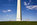 A view of Americ'a national monument from the mound or the knoll including fifty American flagpoles circling the paved area of the Washington Monument, Washington DC