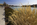 Early spring view from Georgetown Waterfront Park featuring the Potomac River including the Kennedy Center and Watergate Complex in the background, Washington DC