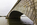 Scene from the banks of the Potomac River, featuring Arlington Memorial Bridge, the Watergate Steps and the Lincoln Memorial, Washington DC