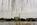 Spring riverscape from the Mount Vernon Trail, featuring the Potomac River, Abraham Lincoln Memorial, Watergate Steps, Arlington Memorial Bridge and Washington Monument, Washington DC