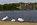 Round Pond scene featuring the resident swans and the Jacobean style edifice of Kensington Palace in the distance, Royal London, England