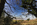 Vantage point overlooking Red Wharf Bay from Pentraeth Forest, Anglesey, Gwynedd