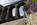 Street level World Heritage Site scene featuring the colossal stone arches of the historic Menai Suspension Bridge, Grade I Listed building, Isle of Anglesey, Gwynedd