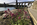Springtime coastal scene from Anglesey featuring a view of the historic Menai Suspension Bridge spanning the Menai Strait from Beach Road, World Heritage Site, Area of Outstanding Natural Beauty, Gwynedd, North Wales