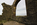 Llanddwyn Island scene from the Llanddwyn Chapel ruins featuring a view of the Newborough sand dunes, Area of Outstanding Natural Beauty, Anglesey, North Wales