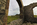 Llanddwyn Chapel ruins scene featuring a view of the modern Celtic Cross, Llanddwyn Bay, Newborough sand dunes and Snowdonia, Llanddwyn Island, Anglesey, Gwynedd