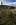 Unique Llanddwyn Island portrait scene featuring Twr Mawr Lighthouse at the tip of the tidal island, Newborough National Nature Reserve, Isle of Anglesey, Gwynedd