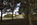 Unique summer scene from underneath the shady tree-lined avenue of the Benjamin Franklin Parkway featuring Eakins Oval and the Washington Monument including Philadelphia City Hall perched atop Fairmont Hill