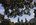Summer scene from underneath the shady tree-lined avenue of the Benjamin Franklin Parkway featuring the Center City skyscrapers of Philadelphia