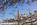 Telephoto lens view of the top-section of the Washington Monument with cherry blossoms in the foreground framing America's national monument, Tidal Basin, Washington DC