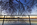 An early spring sunrise scene from the Tidal Basin, featuring the Thomas Jefferson Memorial and Yoshino cherry blossoms, National Mall, Washington DC