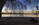 An early morning sunrise scene from the Tidal Basin, featuring the Thomas Jefferson Memorial and Yoshino cherry blossoms, National Mall, Washington DC