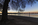 One of the views of the National Mall, featuring the Tidal Basin at dawn including the Thomas Jefferson Memorial and Yoshino cherry blossoms, Washington DC