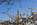 Spring Tidal Basin viewpoint, featuring the Yoshino cherry blossoms and the Washington Monument, National Mall, Washington DC